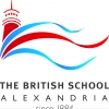 BSA Logo